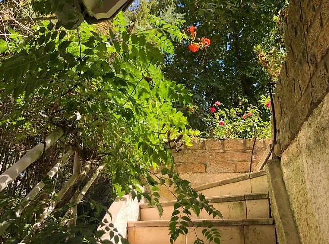 10-12 Pers Centre 300m De La